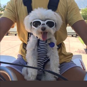 Meet your Posher, Maria